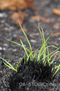 Javea montgo fire spain ash burnt.