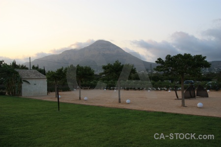 Javea montgo tree grass white.