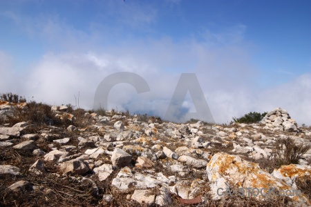 Javea rock plant montgo cloud.