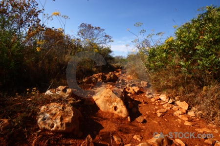 Javea sky dirt spain plant.