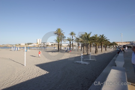 Javea sky palm tree shadow europe.