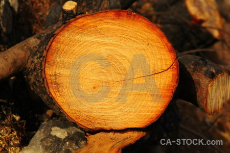 Javea texture europe wood circle.