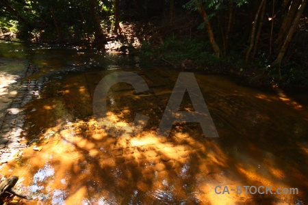 Kbal spean southeast asia siem reap tree river.