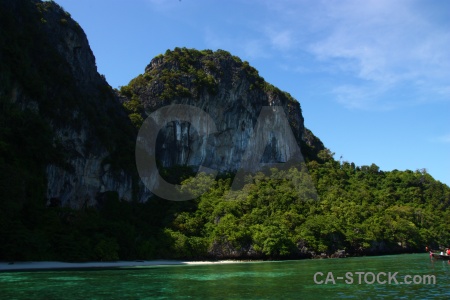 Koh yung limestone asia tropical tree.