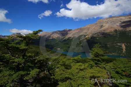 Laguna del desierto tree landscape argentina el chalten.