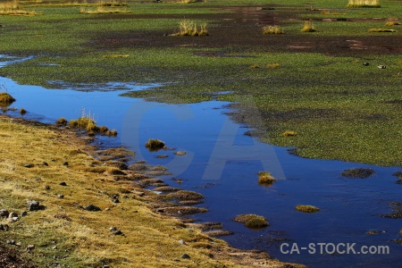 Lake andes atacama desert grass el tatio.