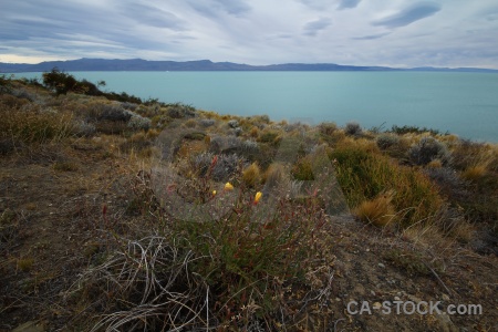 Lake argentino grass patagonia sky water.