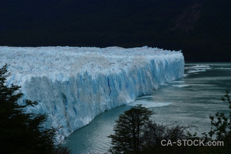 Lake argentino lake terminus water tree.