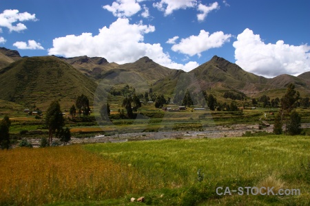 Landscape andes altitude grass south america.