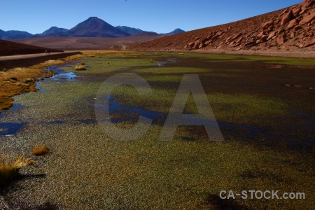 Landscape chile rock grass pond weed.