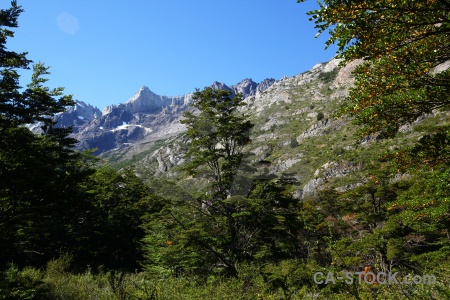 Landscape circuit trek tree forest south america.