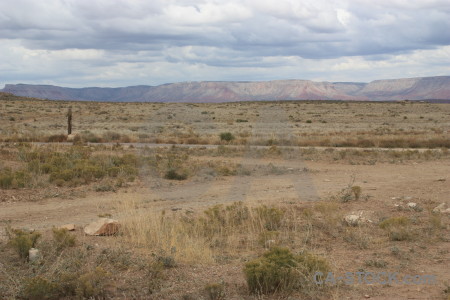 Landscape desert.