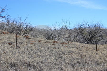 Landscape desert blue.