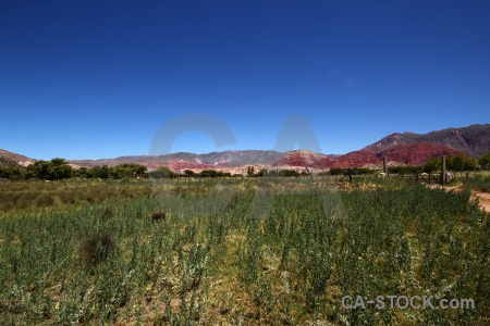 Landscape field mountain unesco jujuy.