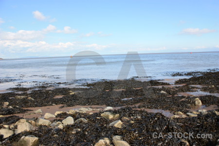 Landscape rock coast seaweed.