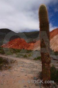 Landscape rock sky salta tour plant.