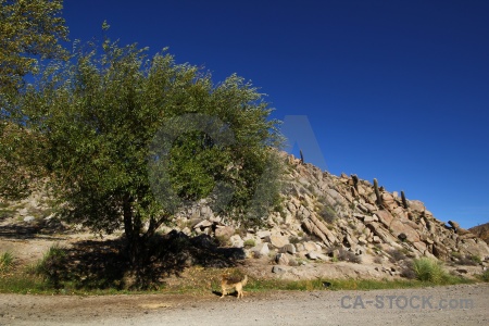 Landscape salta tour santa rosa de tastil sky south america.