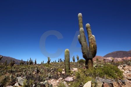 Landscape salta tour unesco south america quebrada de humahuaca.