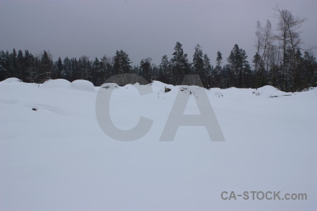 Landscape snow winter.