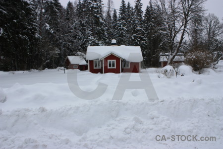 Landscape snow winter.