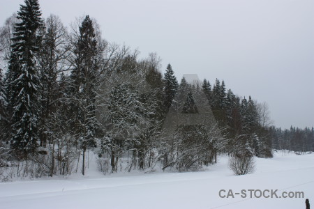 Landscape snow winter.