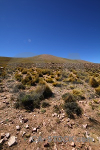 Landscape south america grass sky bush.