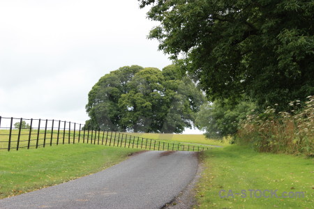 Landscape white green field road.