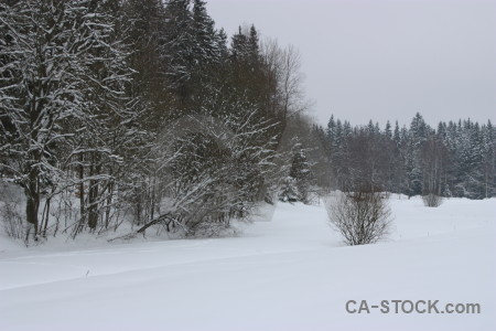 Landscape winter snow white.