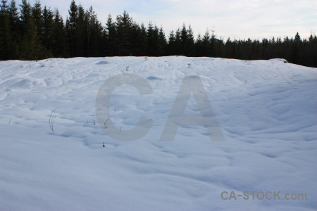 Landscape winter white snow.