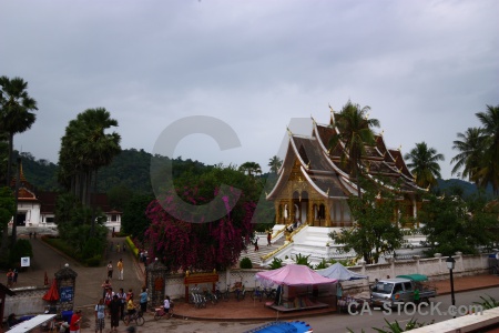 Laos person buddhist tree vehicle.