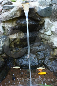 Leaf river rock water.