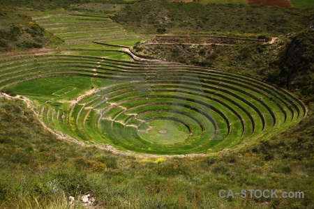 Maras circle moray inca bush.