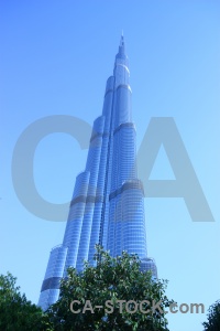 Middle east uae burj khalifa western asia tree.