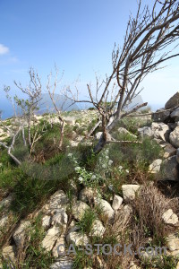 Montgo climb javea rock spain europe.