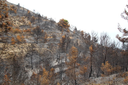 Montgo fire ash spain europe burnt.