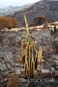 Montgo fire burnt spain ash javea.