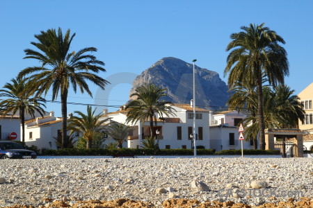 Montgo palm tree mountain stone building.