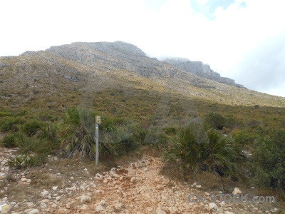 Montgo rock javea plant sky.