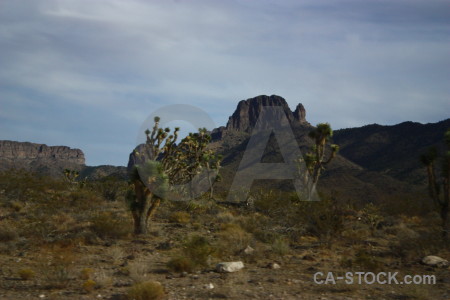 Mountain.