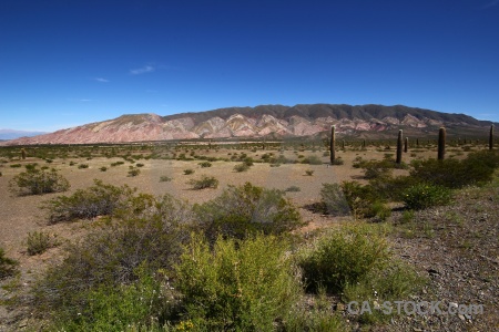 Mountain cactus landscape salta tour 2 altitude.