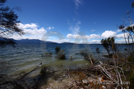 Mountain cloud south island new zealand branch.