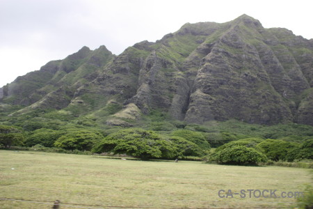 Mountain green white.