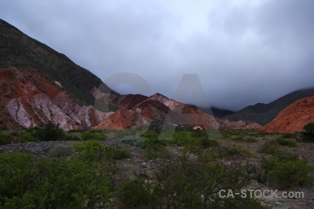 Mountain landscape bush purmamarca argentina.