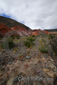 Mountain rock bush argentina salta tour.