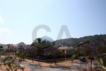 Mountain tree sky javea europe.