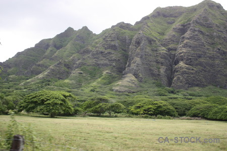 Mountain white green.