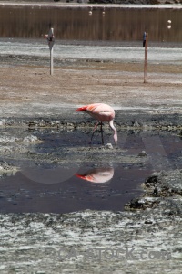 Mud andes reflection salt lake water.