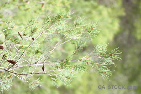 Nature green texture.