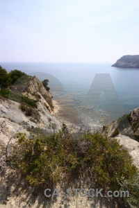 Nature spain tree javea water.