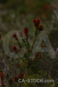 Nature texture.